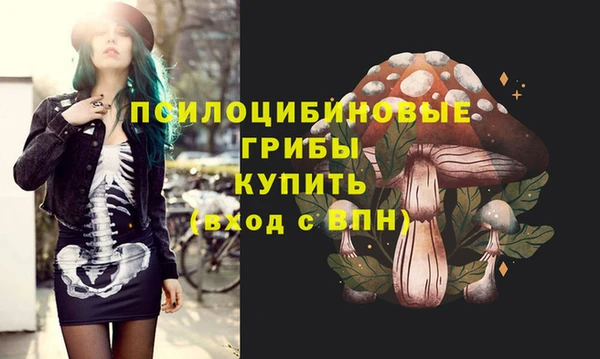 PSILOCYBIN Алзамай