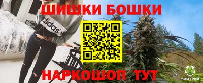 прущие грибы Северобайкальск