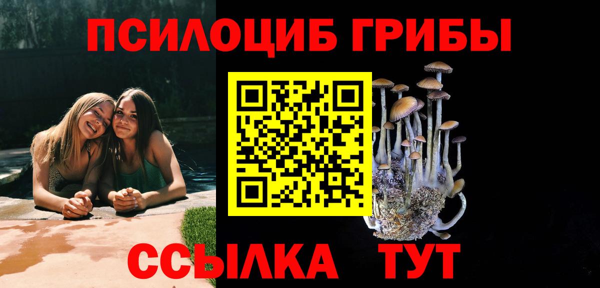 Галлюциногенные грибы мухоморы  где купить наркоту  Старая Русса  Вход с VPN 