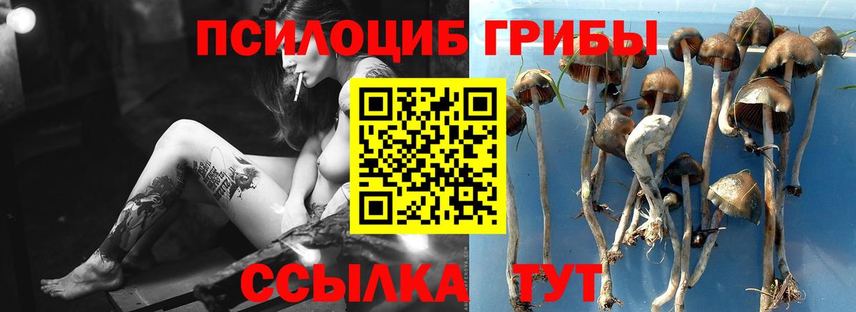 Галлюциногенные грибы ЛСД Старая Русса