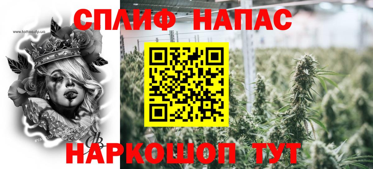 Марихуана OG Kush Старая Русса